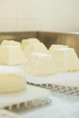 cheesemongers 