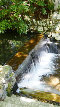 Chute d'eau sur un ruisseau traversant une fôret de cimetière, toute en construction en pierre historique et religieuse, avec effet photographique laiteux, et jolie effet d'éclairage du Soleil © Nicolas Vignot