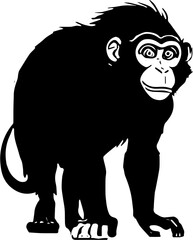Illustration of a standing monkey black and white | Silhouette of black monkey vector 