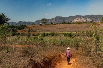 The solitary peasant in the Mogotes Valley in Vinales, Cuba.
