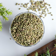 Bundle of fresh green aromatic thyme herbs with dried thyme seeds in a bowl. 