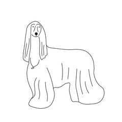 One line drawing. Dog Vector illustration. Afghan Hound breed