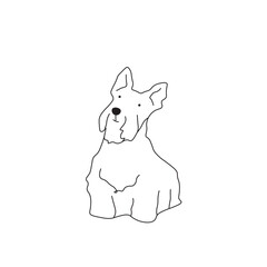 One line drawing. Dog Vector illustration.  Scottish Terriers breed