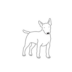 One line drawing. Dog Vector illustration. Bull Terrier breed