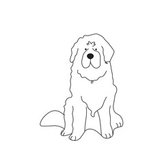 One line drawing. Dog Vector illustration. Newfoundland breed