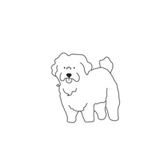 One line drawing. Dog Vector illustration. Maltese breed
