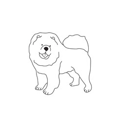 One line drawing. Dog Vector illustration.  Chow Chow breed