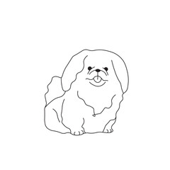 One line drawing. Dog Vector illustration. Pekingese breed
