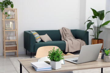 Workspace with cosy furniture and potted plants