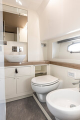 Fototapeta na wymiar yacht Interior of a modern bathroom with white bathtub and toilet. Nobody inside