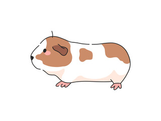 American Guinea Pig Cartoon Vector Illustration. Isolated icon on white background.