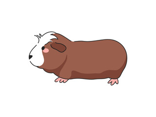 Crested Guinea Pig Cartoon Vector Illustration. Isolated icon on white background.