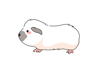 Himalayan Guinea Pig Cartoon Vector Illustration. Isolated icon on white background.