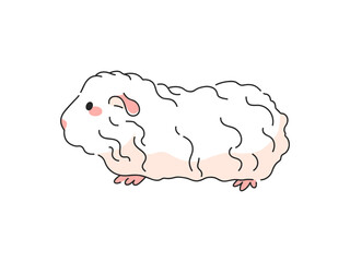 Merino Guinea Pig Cartoon Vector Illustration. Isolated icon on white background.