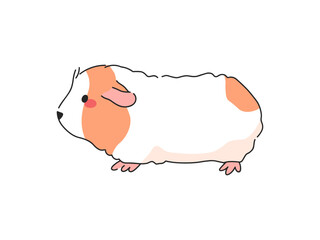 Teddy Guinea Pig Cartoon Vector Illustration. Isolated icon on white background.