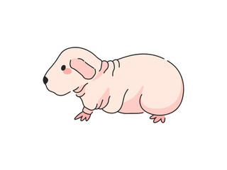 Pink Skinny Guinea Pig Cartoon Vector Illustration. Isolated icon on white background.