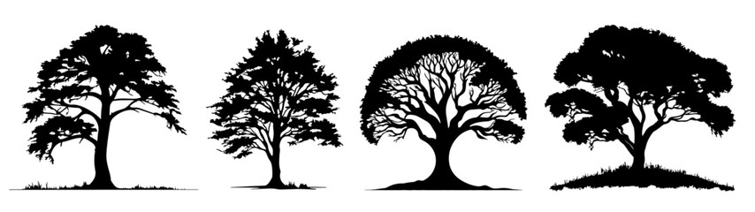 Forest woods leaves tree vector illustration set collection for logo - Black silhouette of different , isolated on white background (Generative AI)