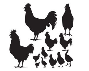 A collection of chickens and hens silhouette vector design.