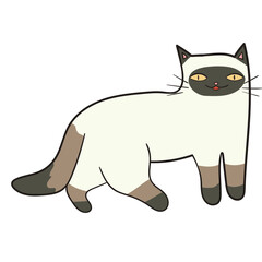 Cat illustration_Balinese