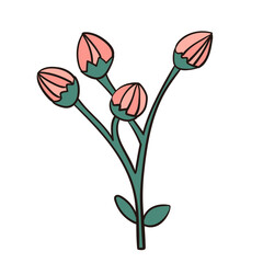 bouquet of tulips illustration