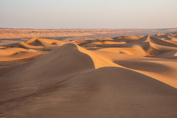 Fototapeta na wymiar Desert solitude in the Wahiba Sands, Al Wasil, Oman