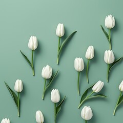 Postcard,White tulipson green background,Valentine's Day, Mother's Day, Birthday,Flatly,AI generated.
