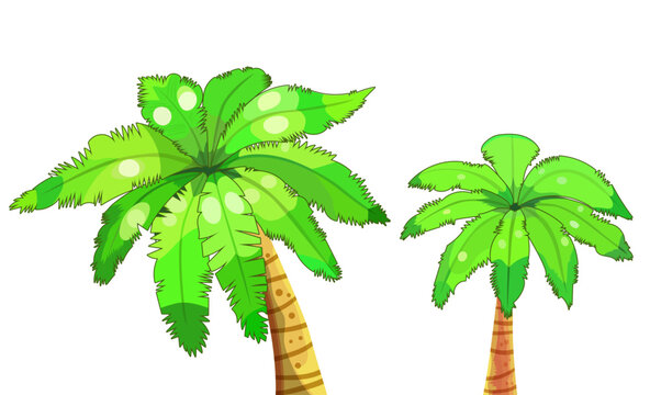 
Palm Trees Vector Illustration, Cut Out Palm Tree Drawings