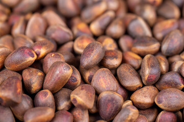 a bunch of pine nuts in the shell