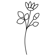 Black and white line art floral 