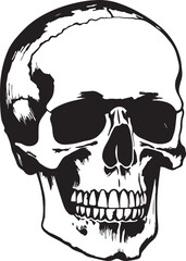 Human skull vector illustration, SVG