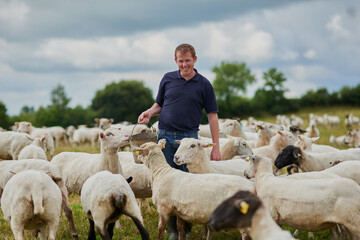 Farm, sheep and happy with man in field for agriculture, sustainability and animal care. Labor,...