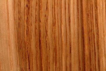 texture of wood