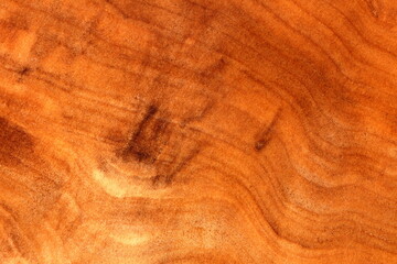 texture of wood