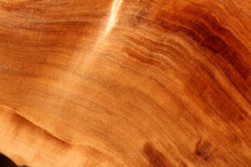 texture of wood