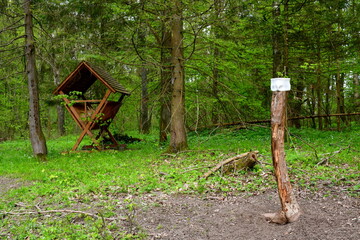 A view of a small feeding station made out of wood, planks, and hay standing in the middle of a dense forest or moor next to some trees, shrubs, and a small clearing seen on a spring day in Poland