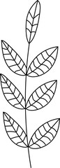 illustration of a flower, black and white flower, botanical vector, outline, illustration, nature, flower, summer