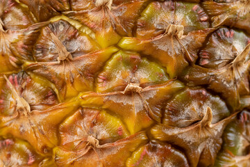 Yellow peel of ripe sweet pineapple, details