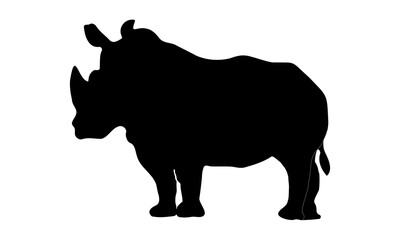 Obraz na płótnie Canvas rhino vector illustration