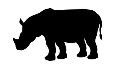 Obraz na płótnie Canvas rhino silhouette vector