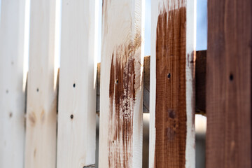 applying walnut-colored antiseptic to the fence, painting the fence