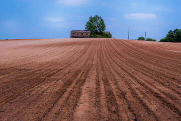 Agricultural field,brown soil farm landscape.Line of arable land.