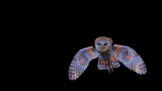 color changing owl flying