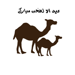 Eid al adha mubarak background with  camel vector