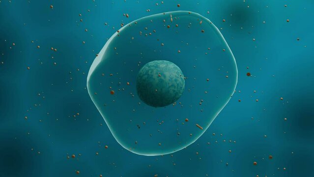 Floating healthy cell in liquid. Laboratory research or experiment microscopic view on organic molecular structure. 4K Quality Closeup Animation concept. Animated human micro cell