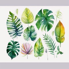 Obraz premium tropical leaves on a white background collection for postcard cover fabric book decor collection. generative ai