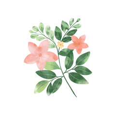 Watercolour bouquet with texture. Floral branch with leaves isolated on white. Clip art