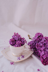 Obraz na płótnie Canvas Purple lilac flowers in a cup on a white background.