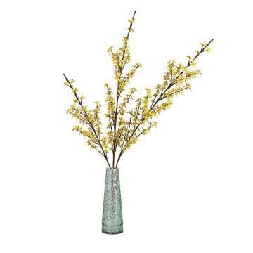 vase with flowers on transparent background PNG file	