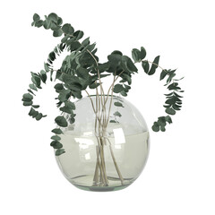 plants in vases on transparent background PNG file	