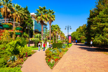 Pedestrian street with palms, Sochi